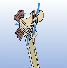 file_56d0112.jpg
