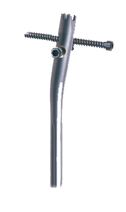 file_e490f89.jpg